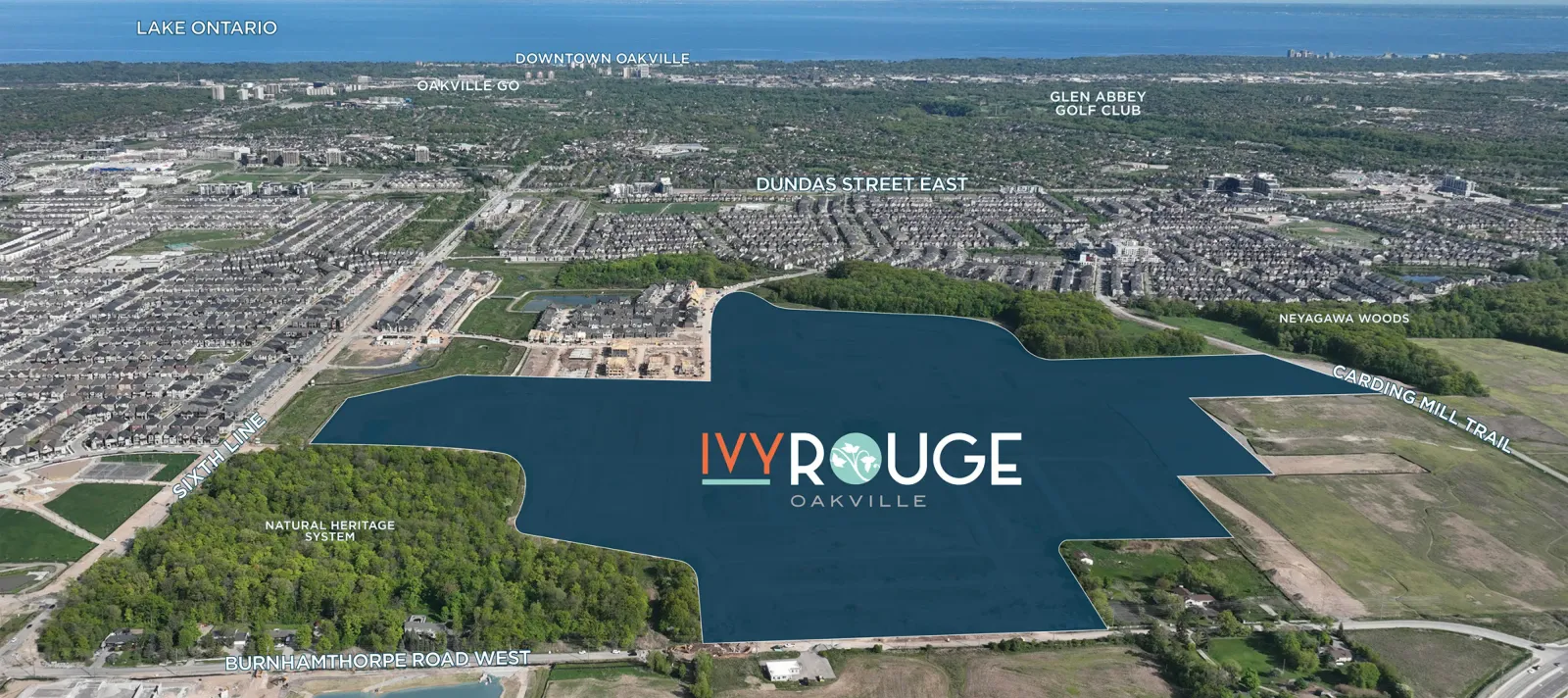 Ivy Rouge Phase 3 — builder image
